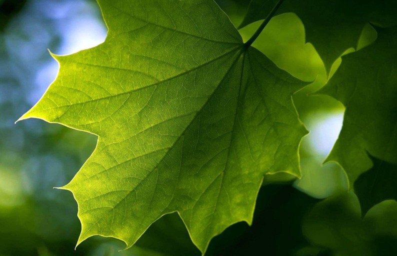 天斯五金2020年各季度企業(yè)事業(yè)環(huán)境信息公開